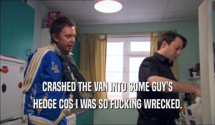 CRASHED THE VAN INTO SOME GUY'S HEDGE COS I WAS SO FUCKING WRECKED. 