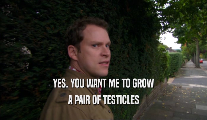 YES. YOU WANT ME TO GROW A PAIR OF TESTICLES 