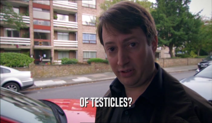 OF TESTICLES?  