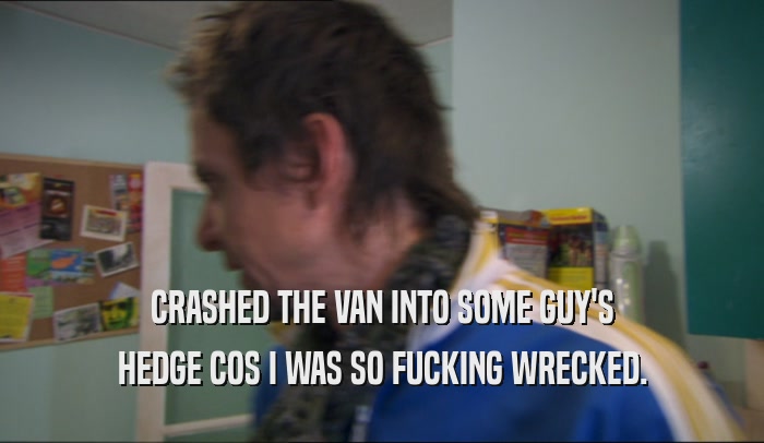 CRASHED THE VAN INTO SOME GUY'S HEDGE COS I WAS SO FUCKING WRECKED. 