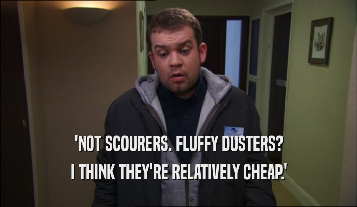 'NOT SCOURERS. FLUFFY DUSTERS? I THINK THEY'RE RELATIVELY CHEAP.' 