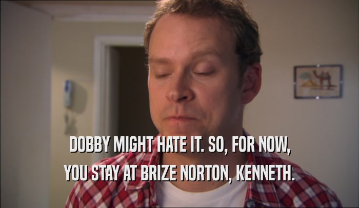 DOBBY MIGHT HATE IT. SO, FOR NOW, YOU STAY AT BRIZE NORTON, KENNETH. 