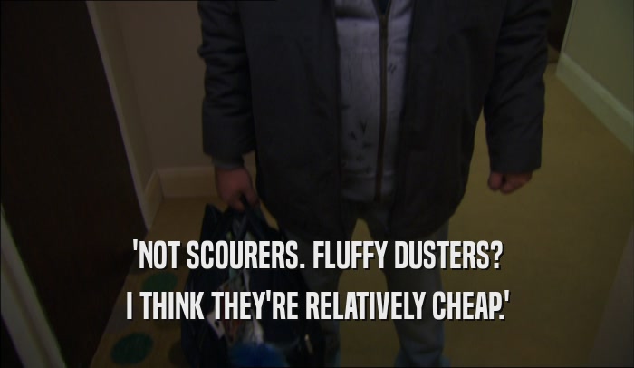 'NOT SCOURERS. FLUFFY DUSTERS? I THINK THEY'RE RELATIVELY CHEAP.' 