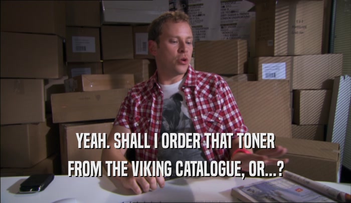 YEAH. SHALL I ORDER THAT TONER FROM THE VIKING CATALOGUE, OR...? 