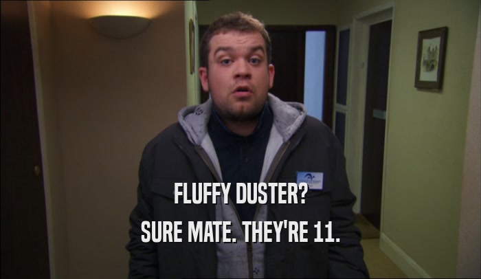 FLUFFY DUSTER? SURE MATE. THEY'RE 11. 
