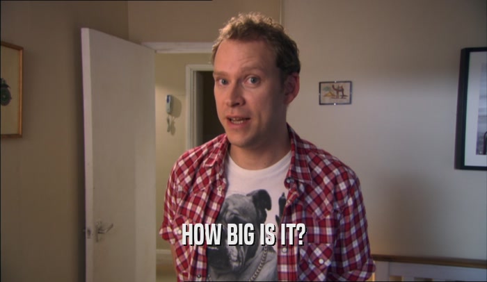 HOW BIG IS IT?  