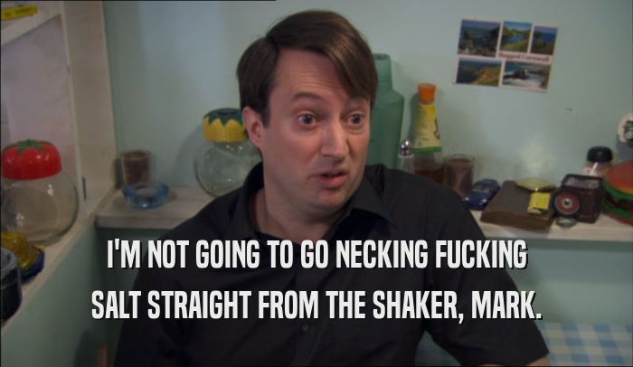 I'M NOT GOING TO GO NECKING FUCKING SALT STRAIGHT FROM THE SHAKER, MARK. 