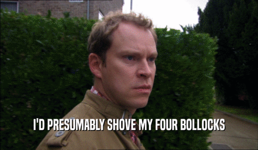 I'D PRESUMABLY SHOVE MY FOUR BOLLOCKS  