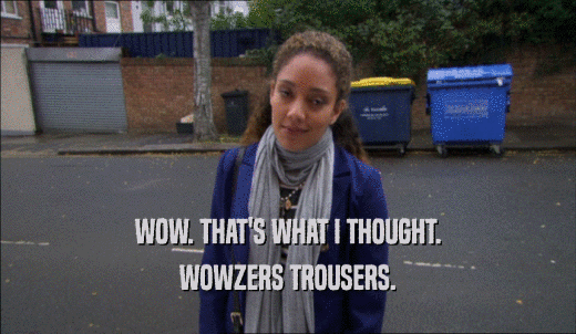 WOW. THAT'S WHAT I THOUGHT. WOWZERS TROUSERS. 