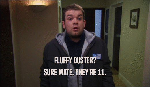FLUFFY DUSTER? SURE MATE. THEY'RE 11. 