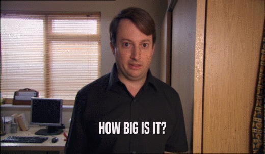 HOW BIG IS IT?  