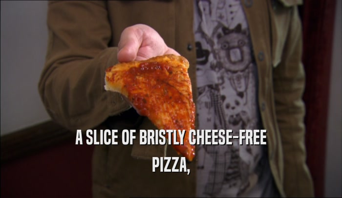 A SLICE OF BRISTLY CHEESE-FREE PIZZA, 