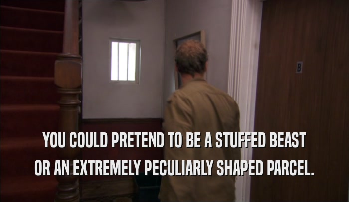 YOU COULD PRETEND TO BE A STUFFED BEAST OR AN EXTREMELY PECULIARLY SHAPED PARCEL. 