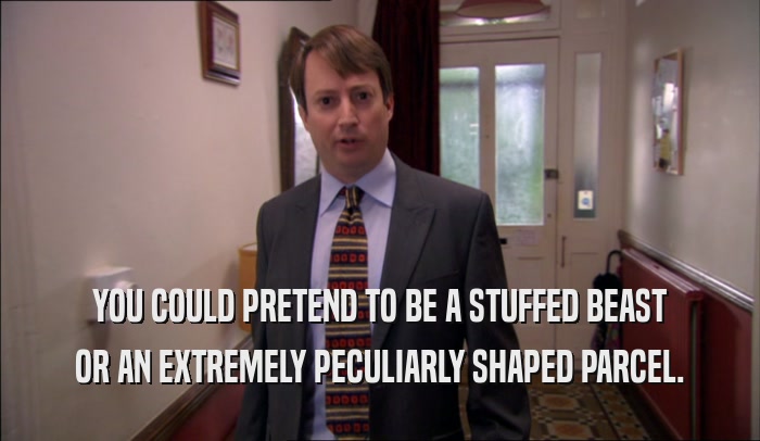 YOU COULD PRETEND TO BE A STUFFED BEAST OR AN EXTREMELY PECULIARLY SHAPED PARCEL. 