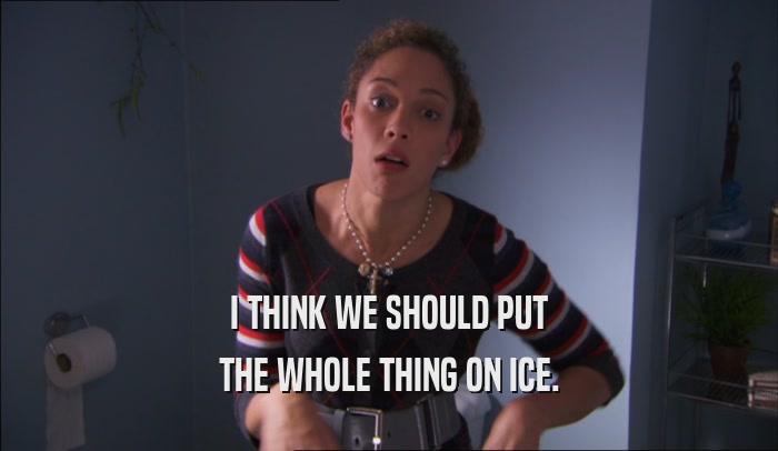 I THINK WE SHOULD PUT THE WHOLE THING ON ICE. 