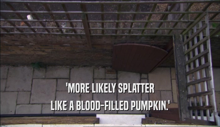 'MORE LIKELY SPLATTER LIKE A BLOOD-FILLED PUMPKIN.' 
