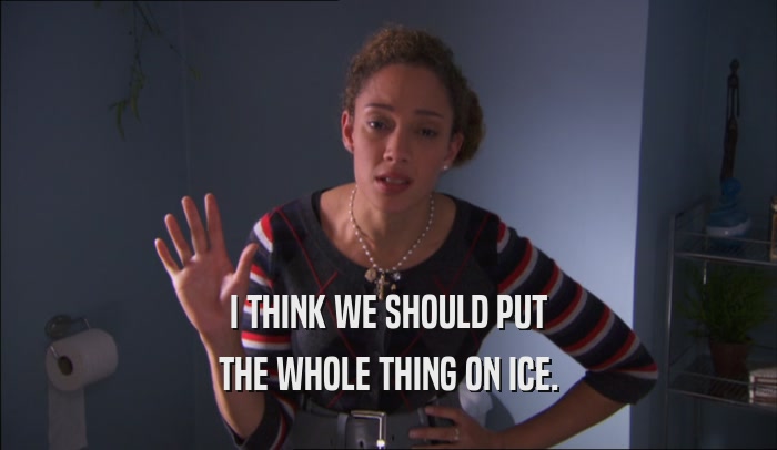 I THINK WE SHOULD PUT THE WHOLE THING ON ICE. 