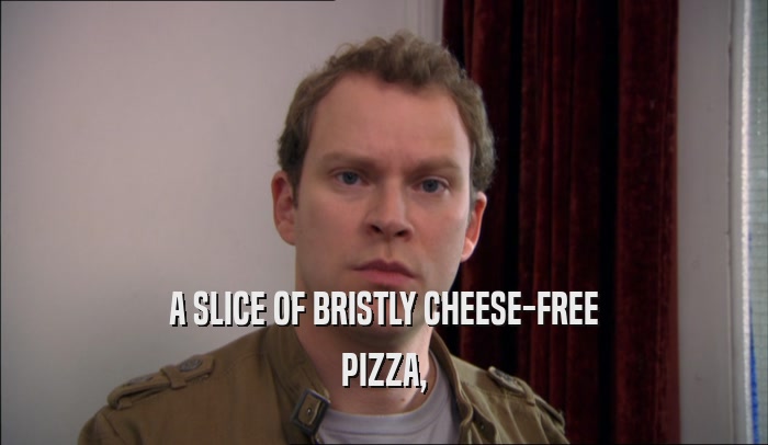 A SLICE OF BRISTLY CHEESE-FREE PIZZA, 