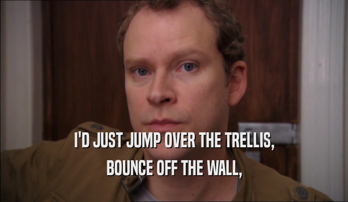 I'D JUST JUMP OVER THE TRELLIS, BOUNCE OFF THE WALL, 