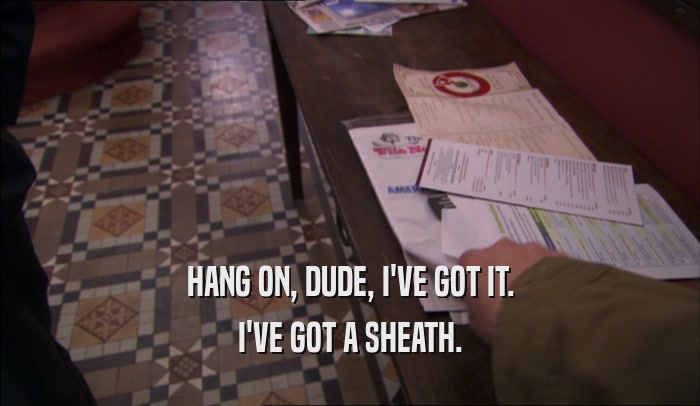 HANG ON, DUDE, I'VE GOT IT. I'VE GOT A SHEATH. 