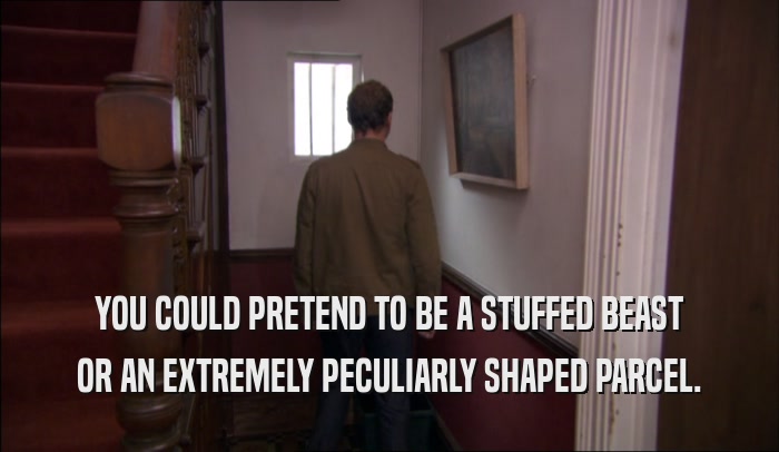 YOU COULD PRETEND TO BE A STUFFED BEAST OR AN EXTREMELY PECULIARLY SHAPED PARCEL. 