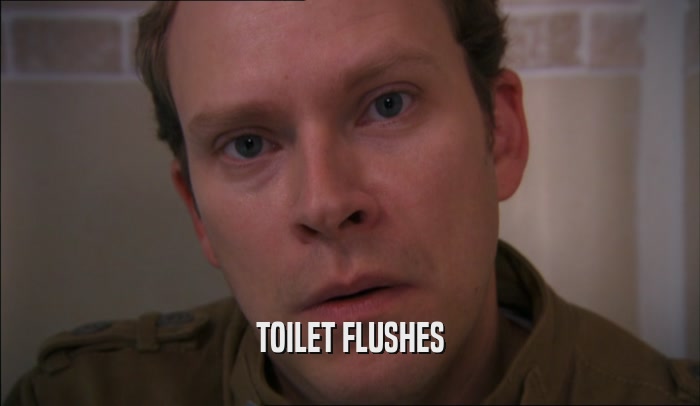 TOILET FLUSHES  