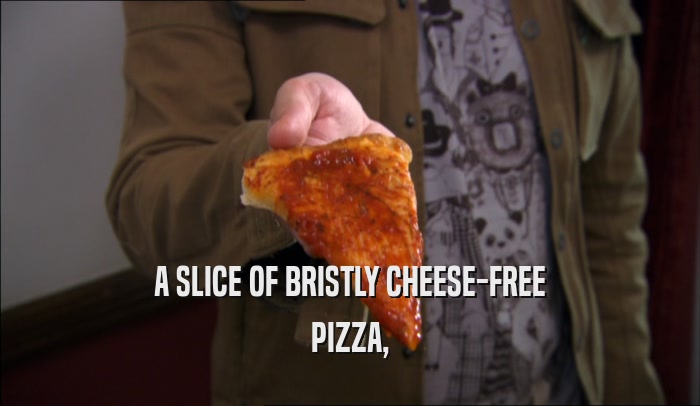 A SLICE OF BRISTLY CHEESE-FREE PIZZA, 