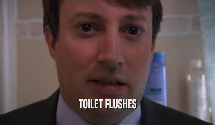 TOILET FLUSHES  
