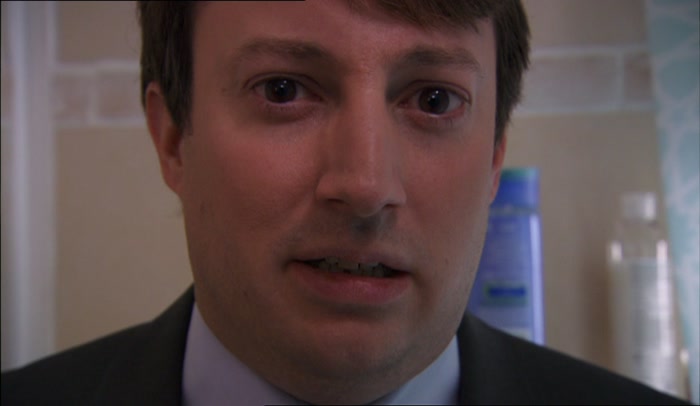 TOILET FLUSHES  