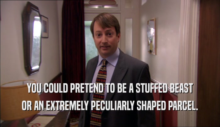 YOU COULD PRETEND TO BE A STUFFED BEAST OR AN EXTREMELY PECULIARLY SHAPED PARCEL. 