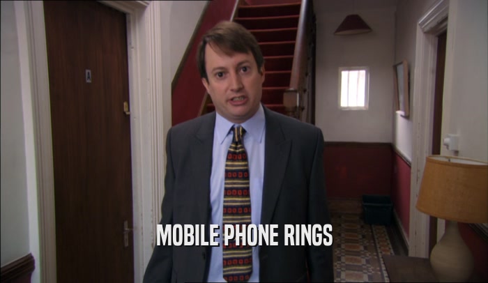 MOBILE PHONE RINGS  