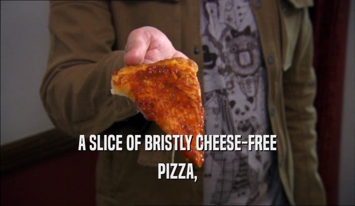 A SLICE OF BRISTLY CHEESE-FREE PIZZA, 