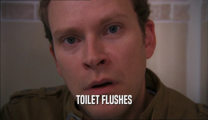 TOILET FLUSHES  