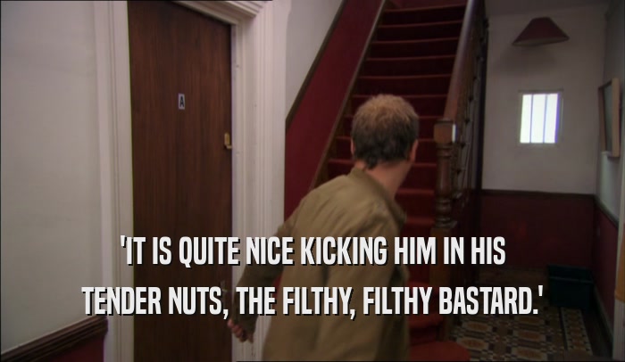 'IT IS QUITE NICE KICKING HIM IN HIS TENDER NUTS, THE FILTHY, FILTHY BASTARD.' 