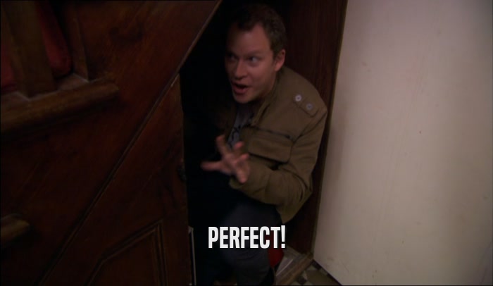 PERFECT!  
