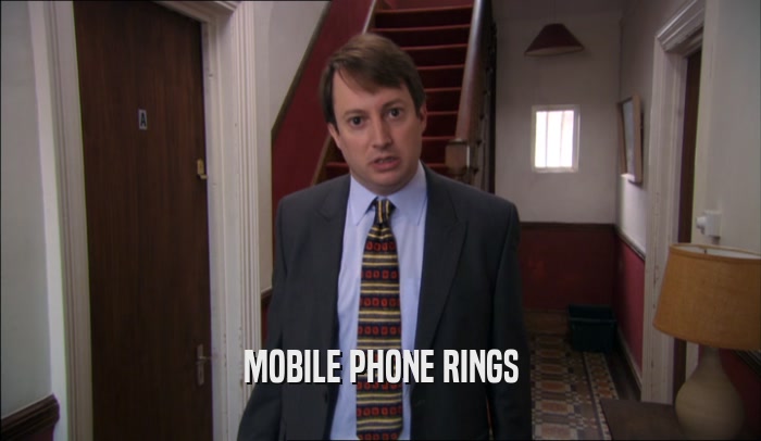 MOBILE PHONE RINGS  
