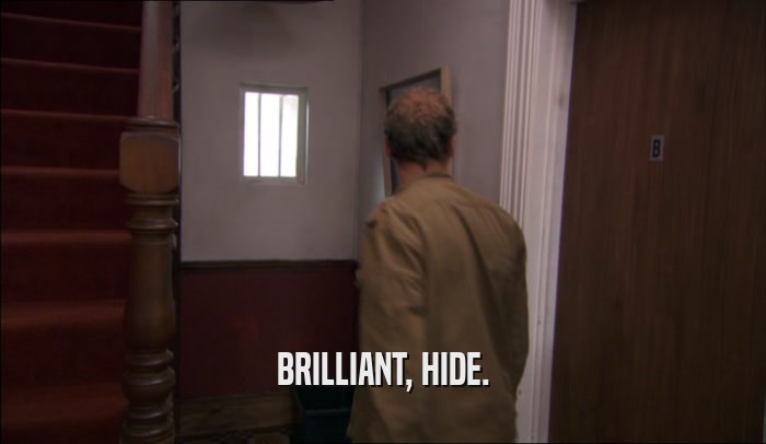 BRILLIANT, HIDE.  