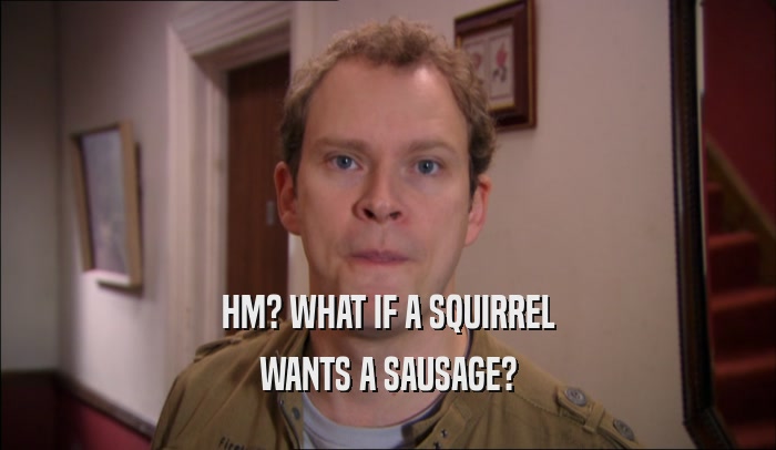 HM? WHAT IF A SQUIRREL WANTS A SAUSAGE? 
