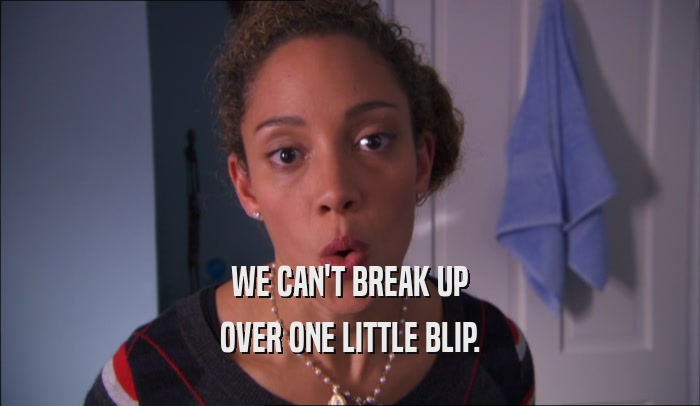 WE CAN'T BREAK UP OVER ONE LITTLE BLIP. 