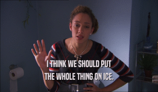 I THINK WE SHOULD PUT THE WHOLE THING ON ICE. 
