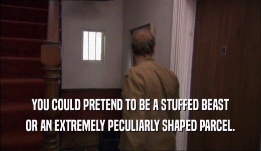 YOU COULD PRETEND TO BE A STUFFED BEAST OR AN EXTREMELY PECULIARLY SHAPED PARCEL. 