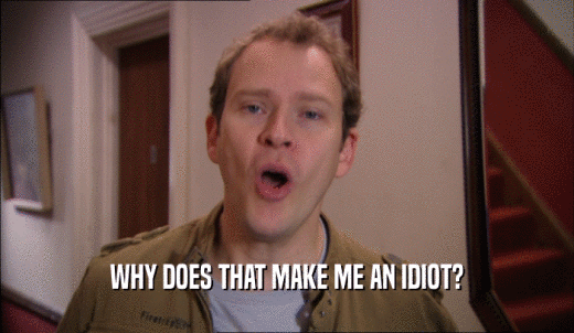 WHY DOES THAT MAKE ME AN IDIOT?  