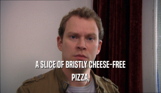 A SLICE OF BRISTLY CHEESE-FREE PIZZA, 
