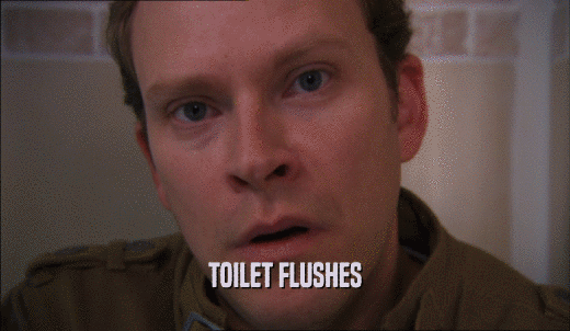 TOILET FLUSHES  