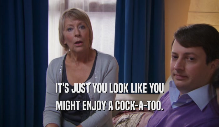 IT'S JUST YOU LOOK LIKE YOU MIGHT ENJOY A COCK-A-TOO. 