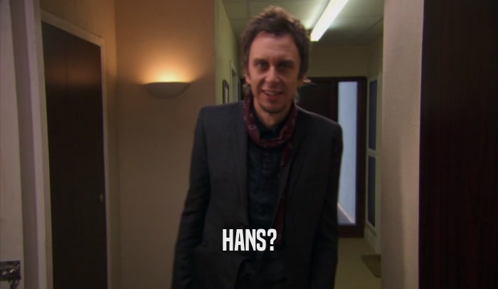 HANS?  