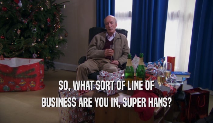 SO, WHAT SORT OF LINE OF BUSINESS ARE YOU IN, SUPER HANS? 