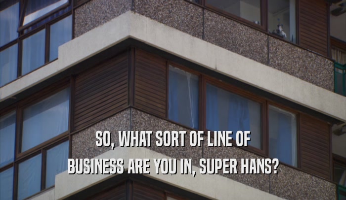 SO, WHAT SORT OF LINE OF BUSINESS ARE YOU IN, SUPER HANS? 