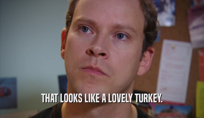 THAT LOOKS LIKE A LOVELY TURKEY.  