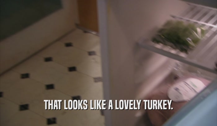 THAT LOOKS LIKE A LOVELY TURKEY.  